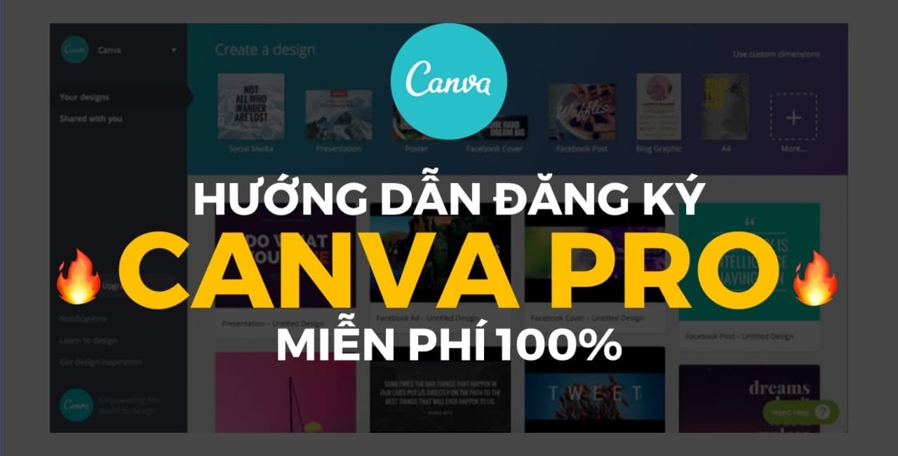 Cách dùng Canva Pro miễn phí ít ai biết đến