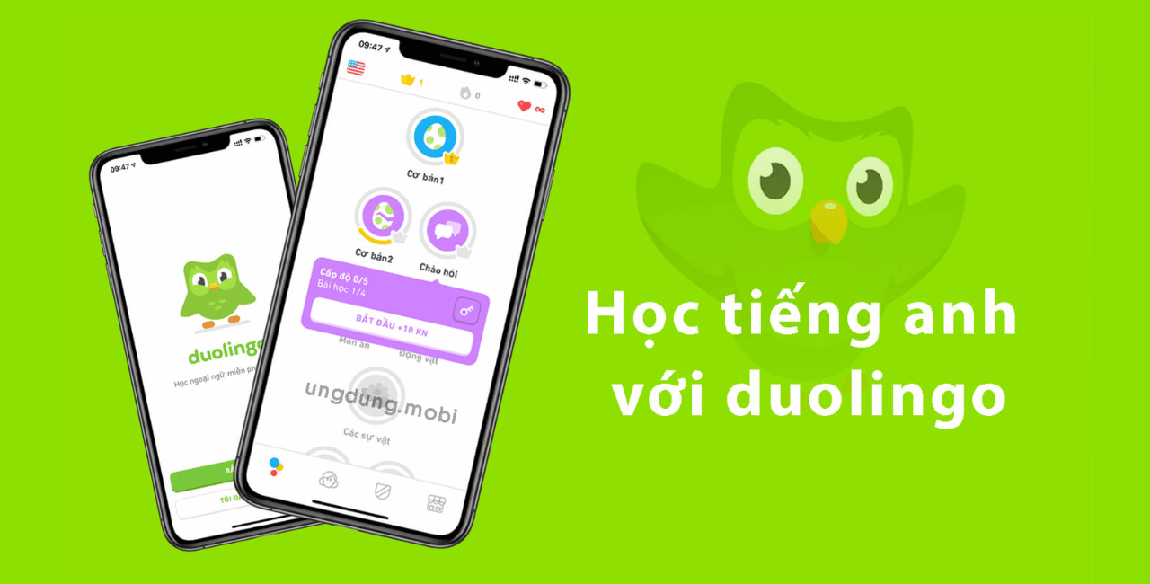 Dễ dàng chuyển đổi các khóa học ngôn ngữ khác trên Duolingo