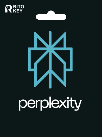 Perplexity