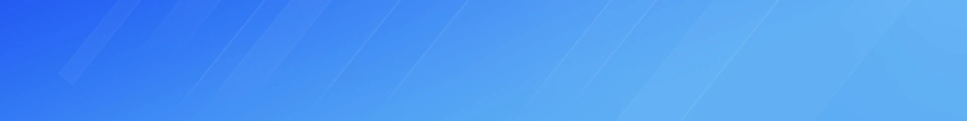 Windows 11 Professional