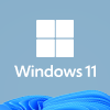 Windows 11 Professional