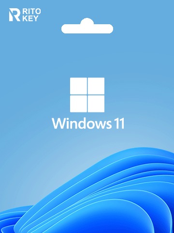 Windows 11 Professional
