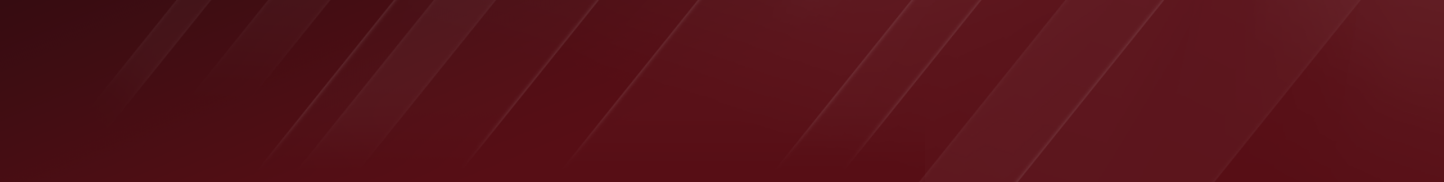 Raycast  Pro