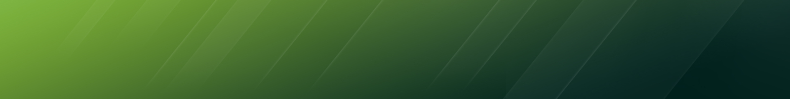 Quarantine Zone: The Last Check